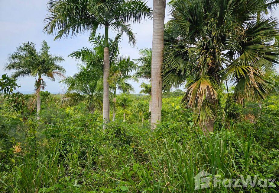 Oceanview Land for Sale in Sosua Panorama Village — photo 4