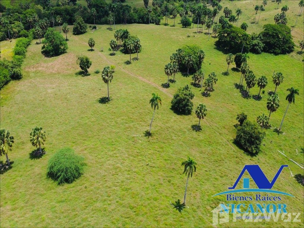 1,010 acre farm for sale in Imbert, Dominican Republic — photo 4