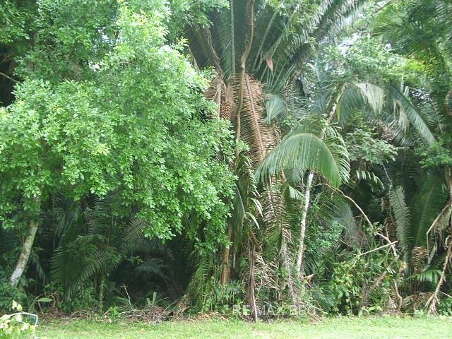#2508 - 4,000 Acres of Land + River — photo 4