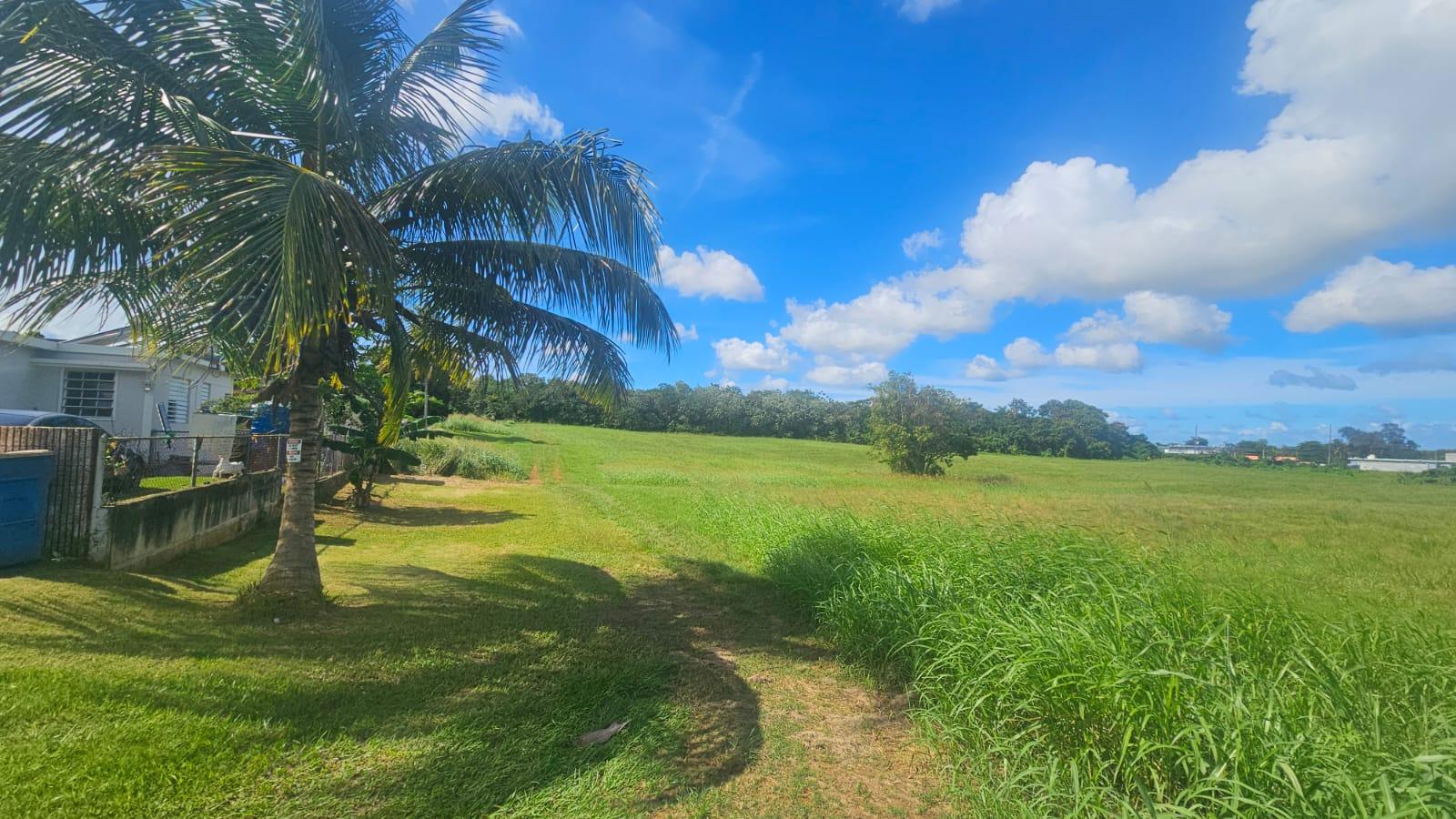 Land in Bo. Caimital Alto, Aguadilla — photo 2