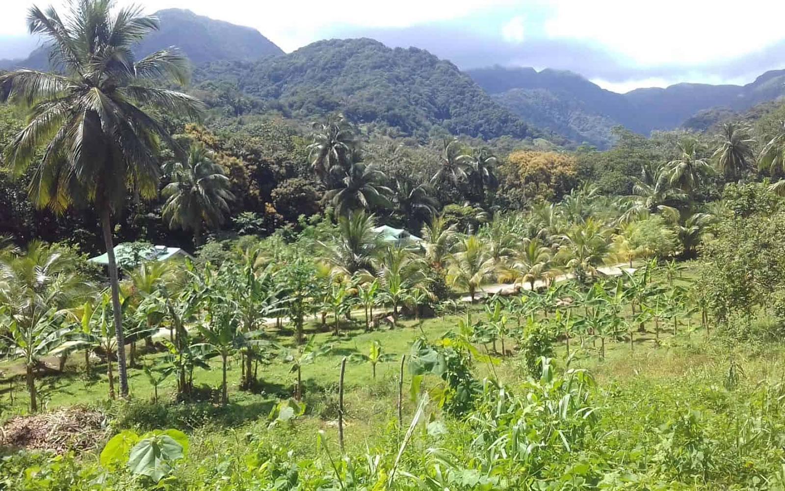 30,000 SqFt Riverfront Lot for Sale in La Plaine — photo 4