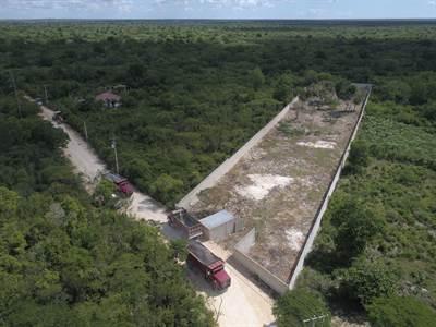 Land For Sale-boca De Chavon-la Romana — photo 2