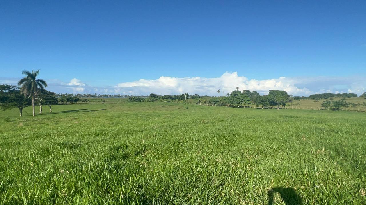 Land For Sale At Miches Dominican Republic — photo 5