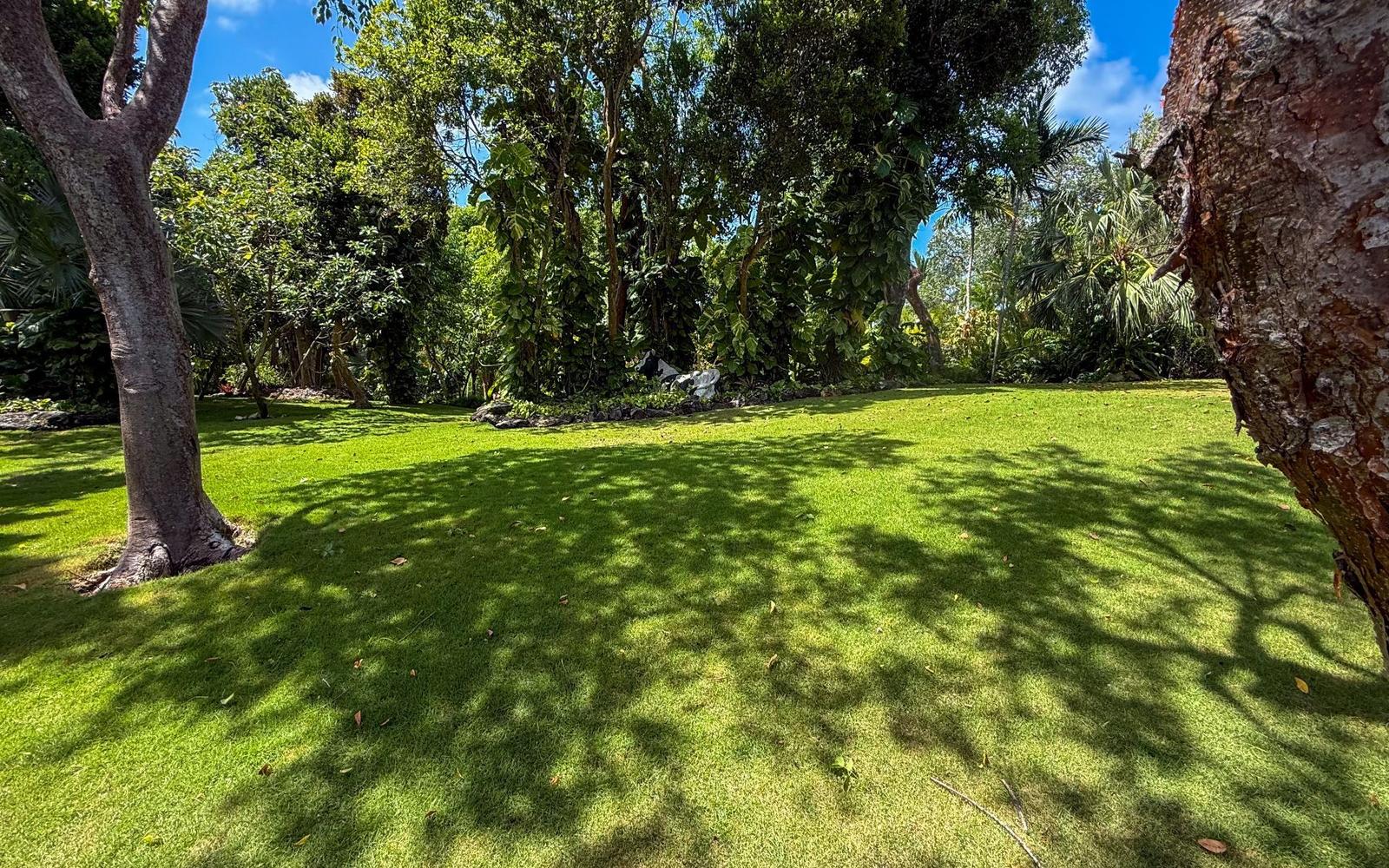 Lot 8, Block 17, Christie Terrace — photo 4