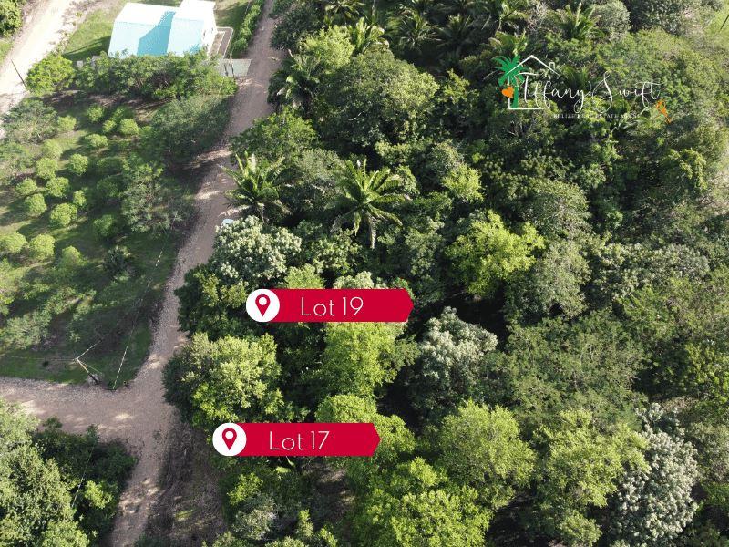 #4223 – Hilltop Lots with Stunning Views in Quaint Village – Bullet Tree Falls, Cayo, Belize — photo 5
