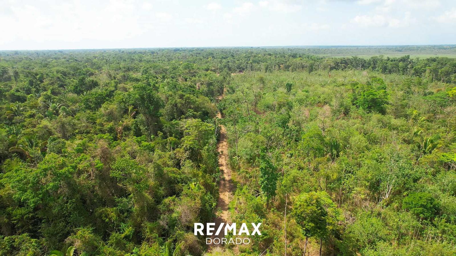 50 Acres Off-Grid Paradise with Mini River and Natural Spring & Year-Round Access — photo 3
