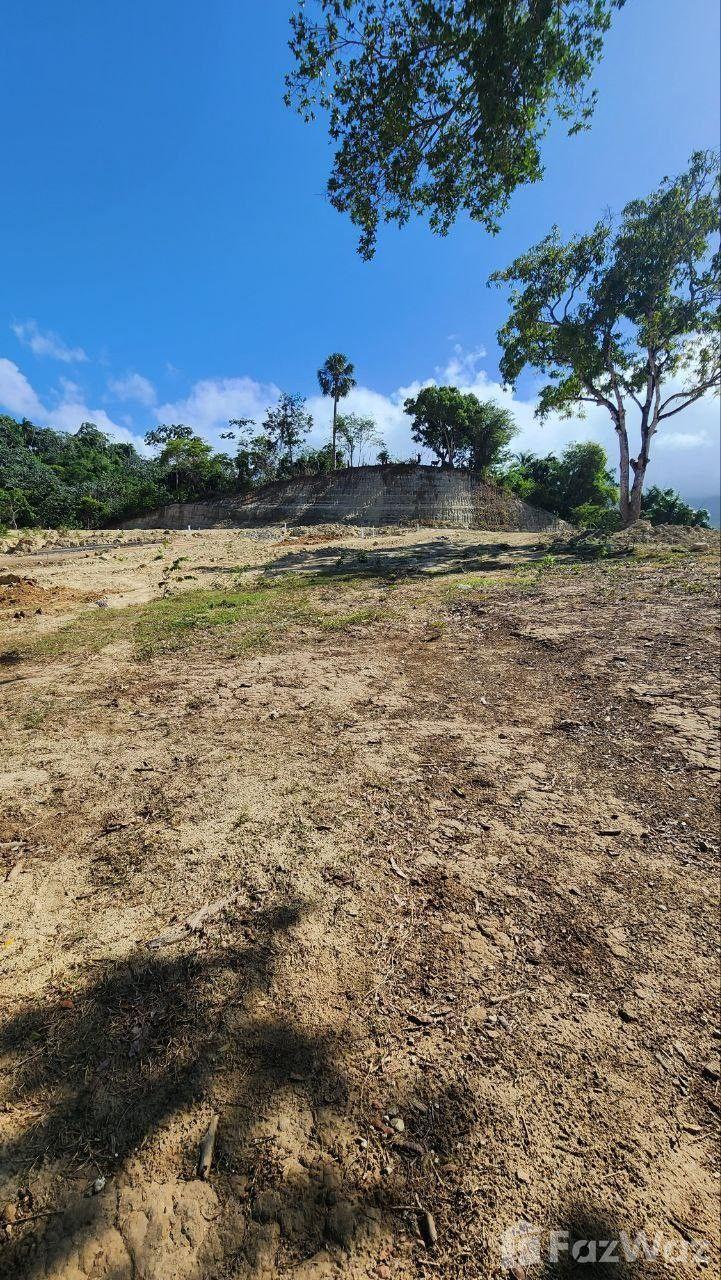 Residential land plot in San Felipe De Puerto Plata — photo 3