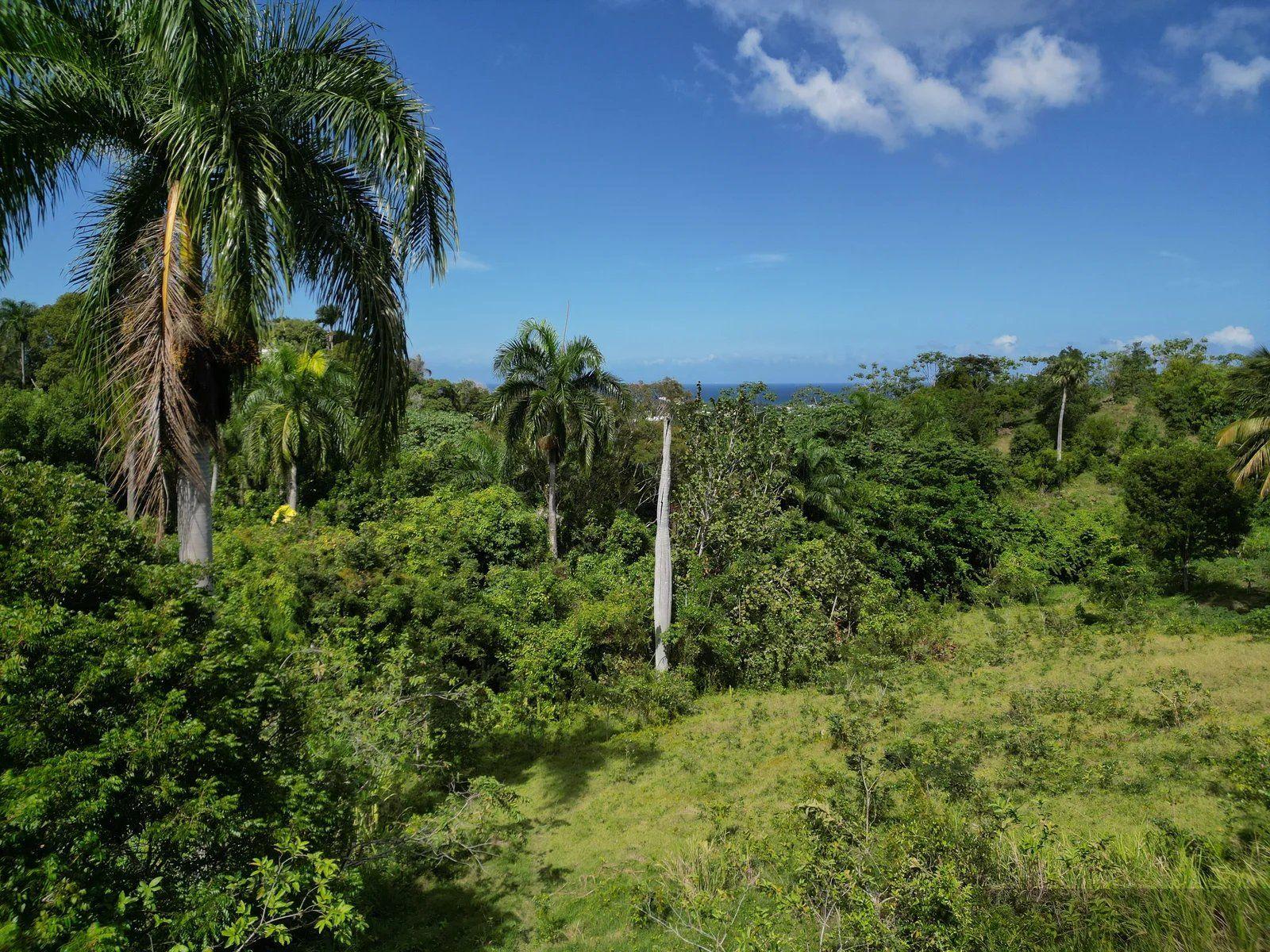 Ocean View Land for Sale in La Uva, Puerto Plata — photo 3
