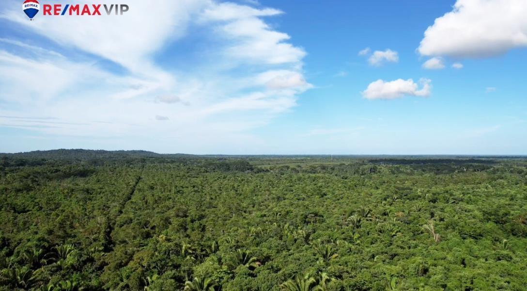 47 Acres in Mayflower Bocawina National Park — photo 5