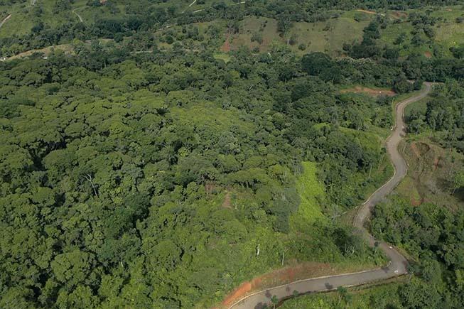 Ocean-view Farm for Sale, Chontales, Ojochal, Puntarenas, Costa Rica — photo 5