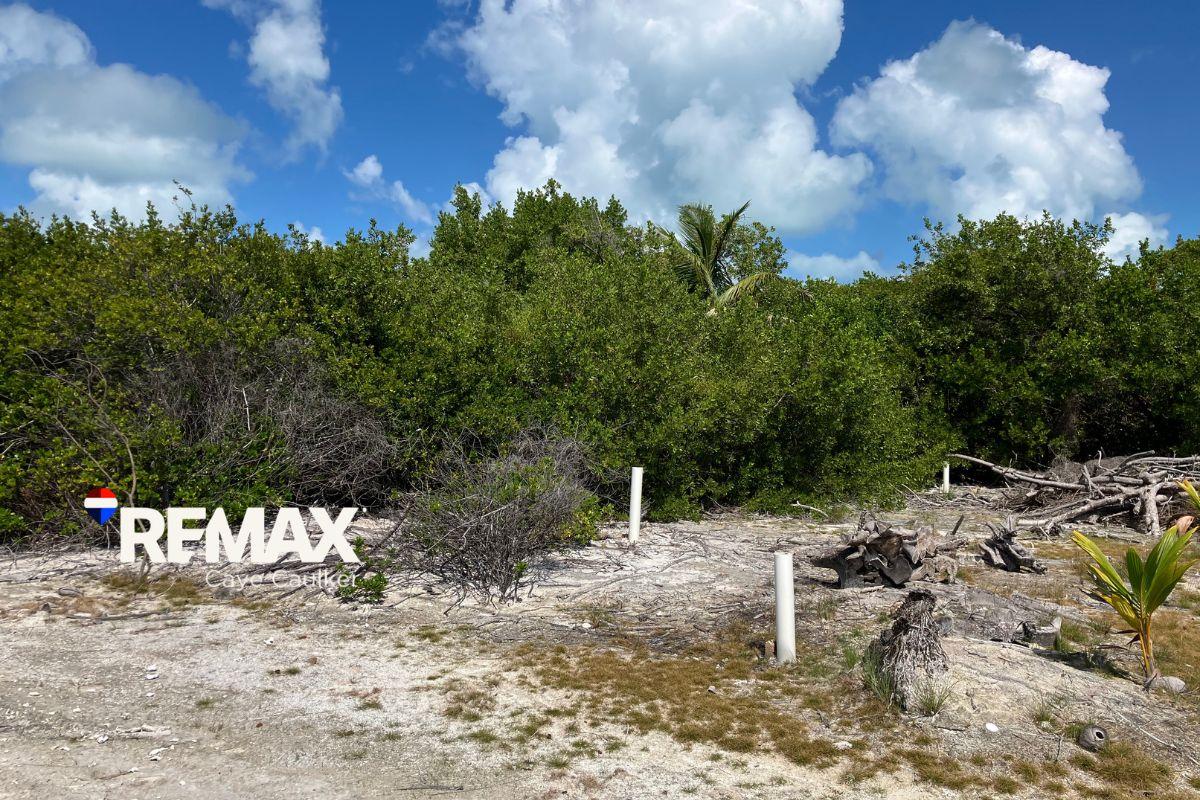 Prime North Caye Caulker Lot – High, Dry, and Ready for Development — photo 4