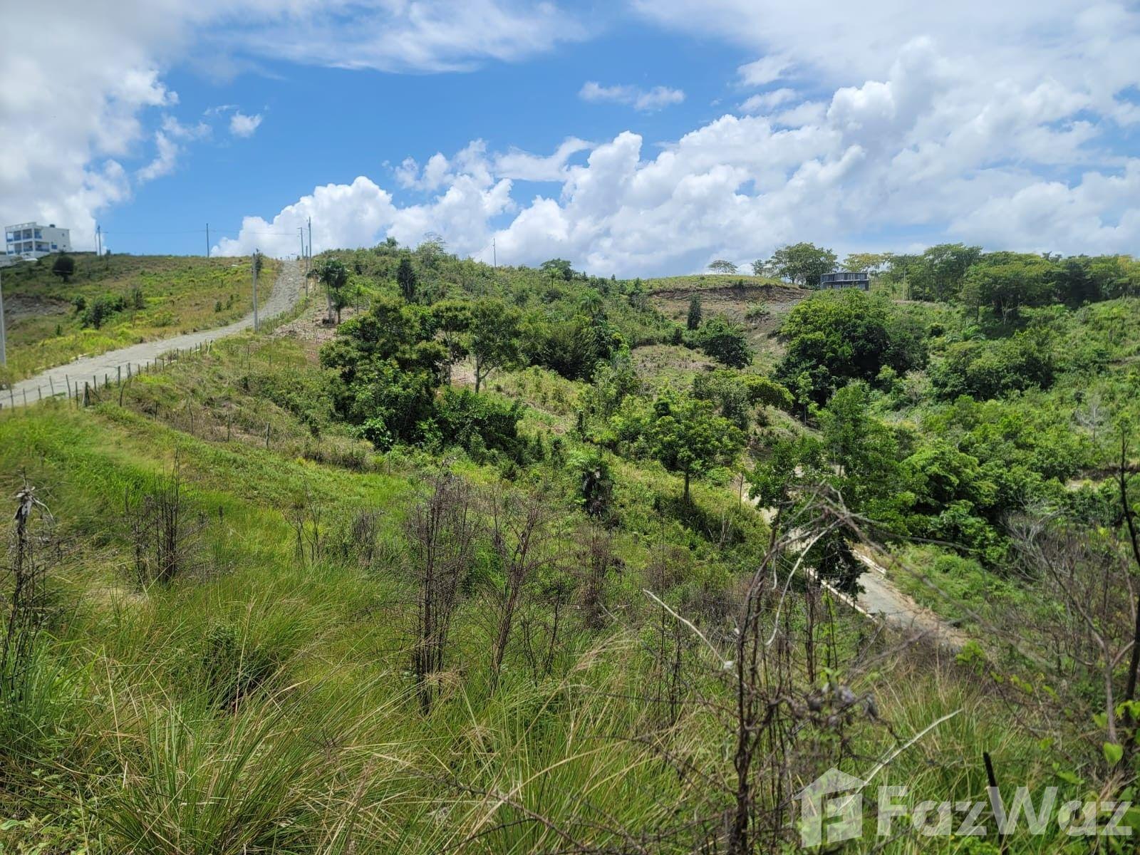1,120 SqM Land for Sale in Gaspar Hernandez — photo 2
