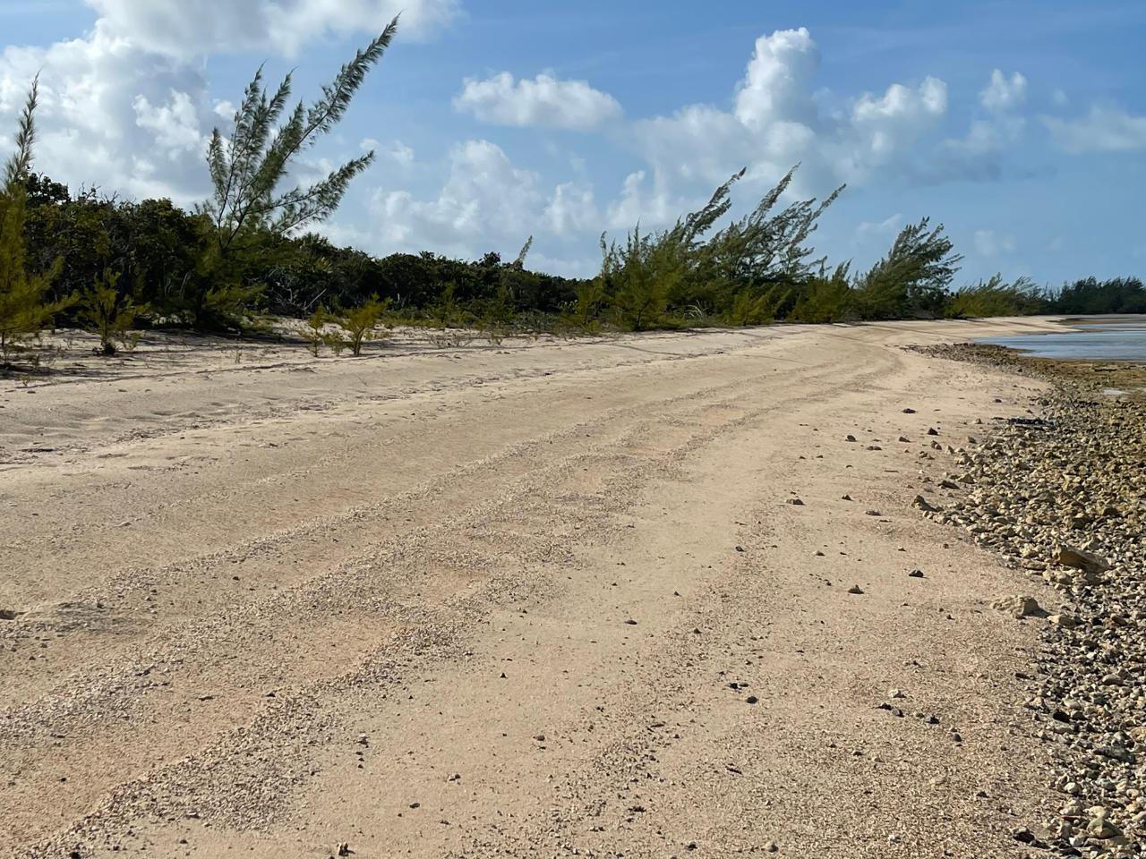 BEACHFRONT WEMYSS LI in Long Island, The Bahamas — photo 2