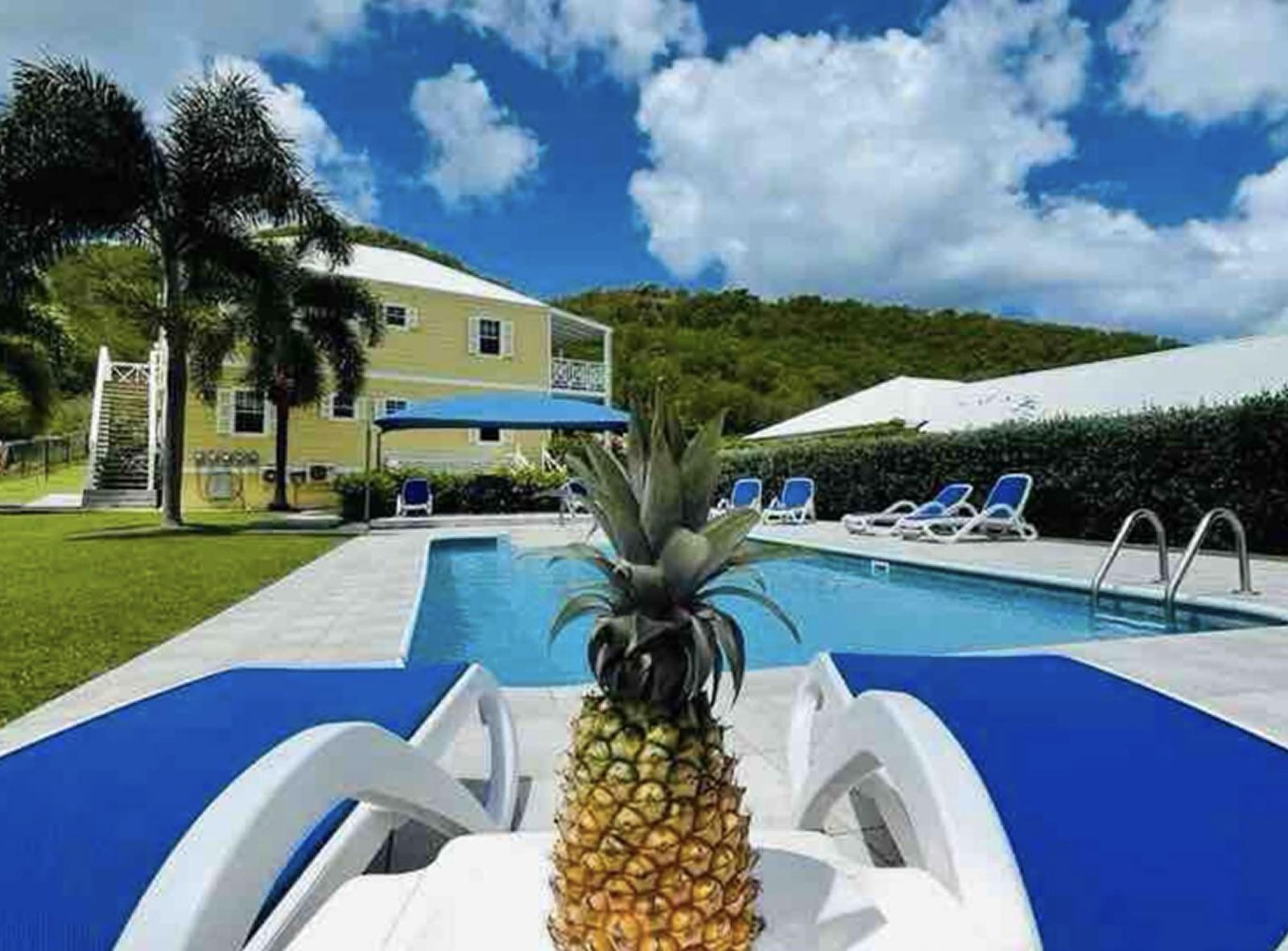 2 Bedroom Apartment for Sale, Hamilton Estate, Jolly Harbour, St Marys, Antigua — photo 2