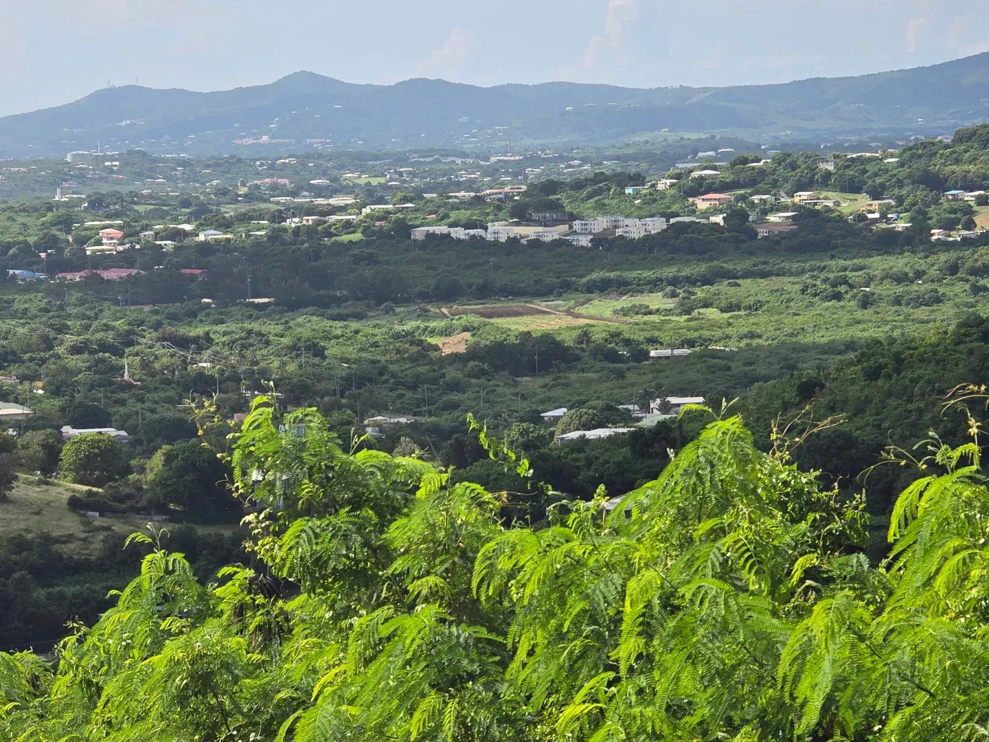0.95 Acre Homesite in Estate Bugby Hole, US Virgin Islands — photo 2