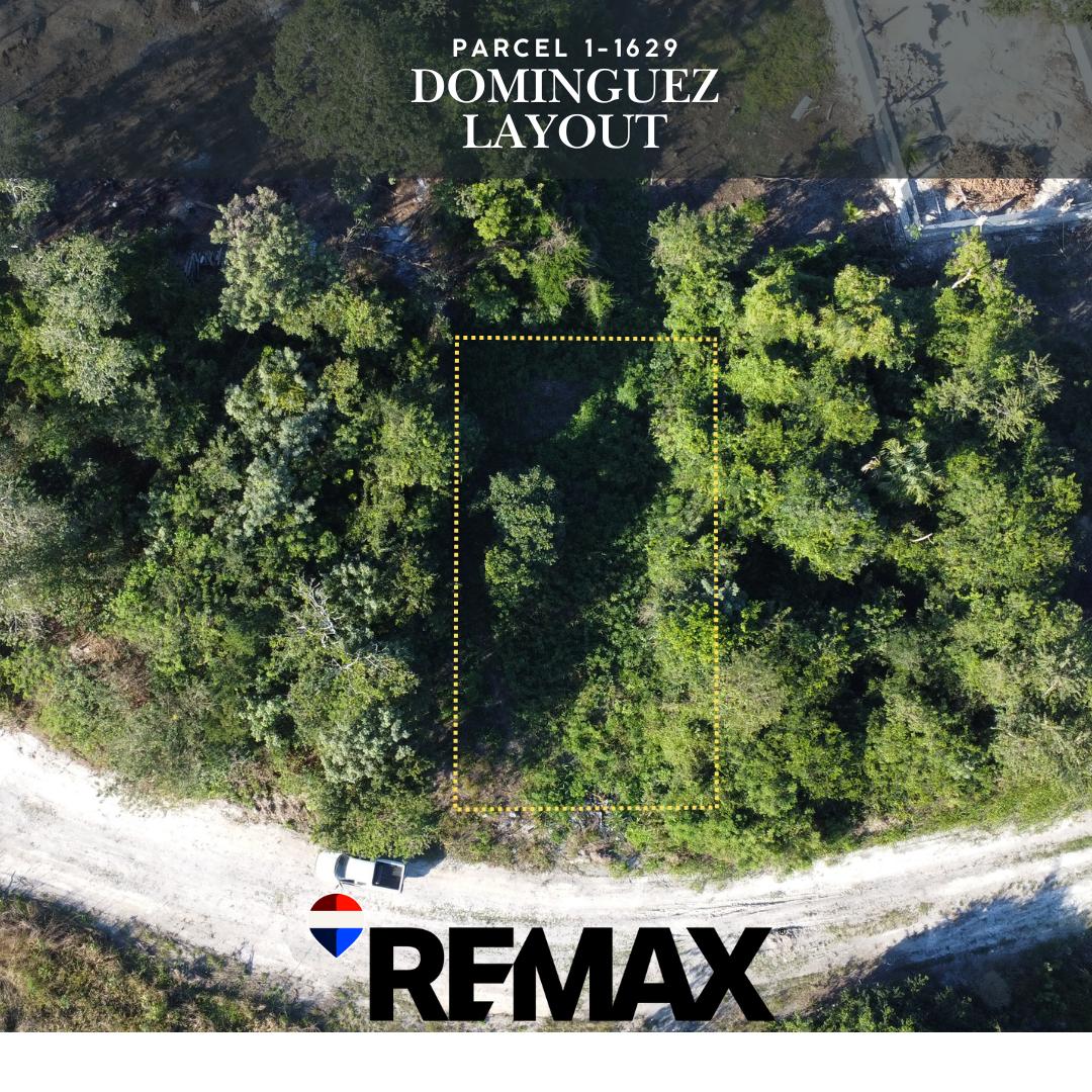 Land Opportunity – Venezuelan/Dominguez Layout, Corozal Town — photo 2