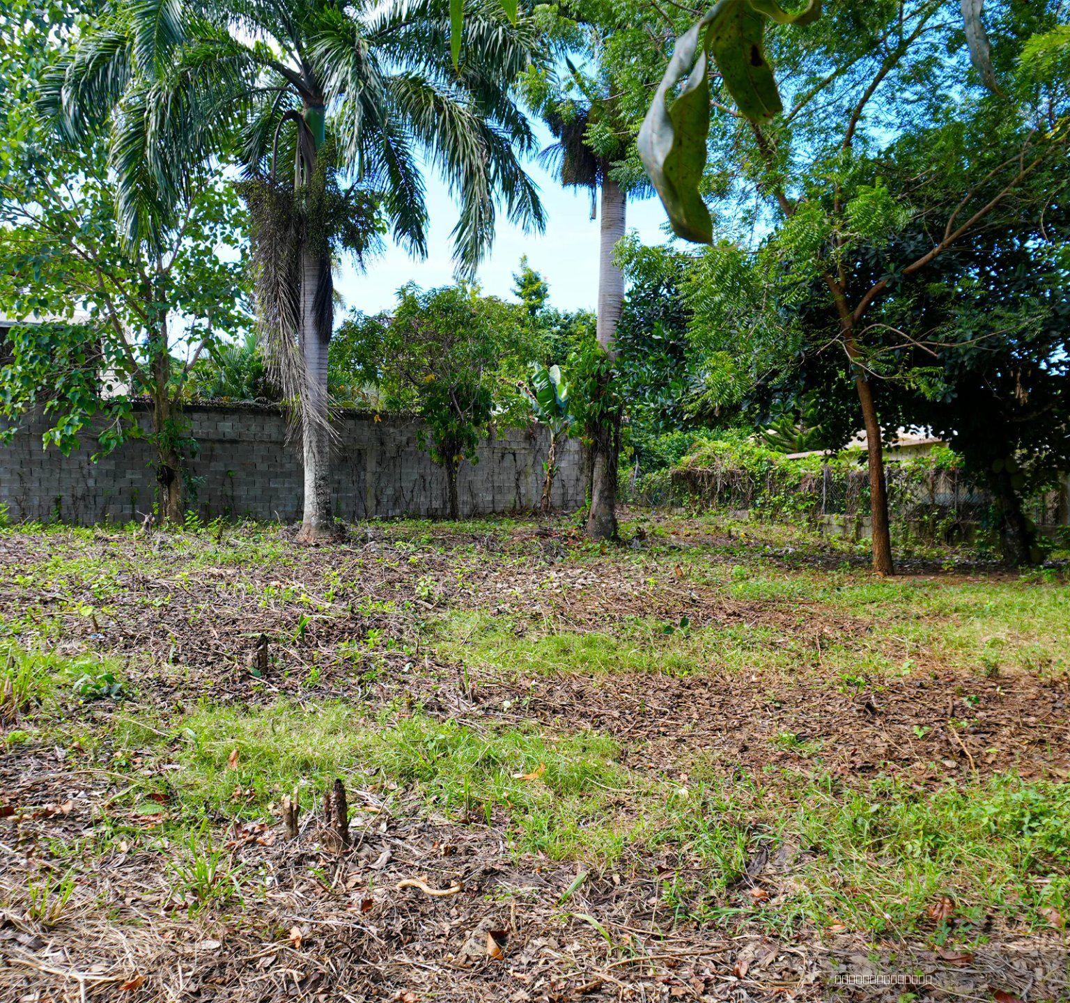 Land for Sale in Sosúa on Camino Llibre Near the Beach — photo 5