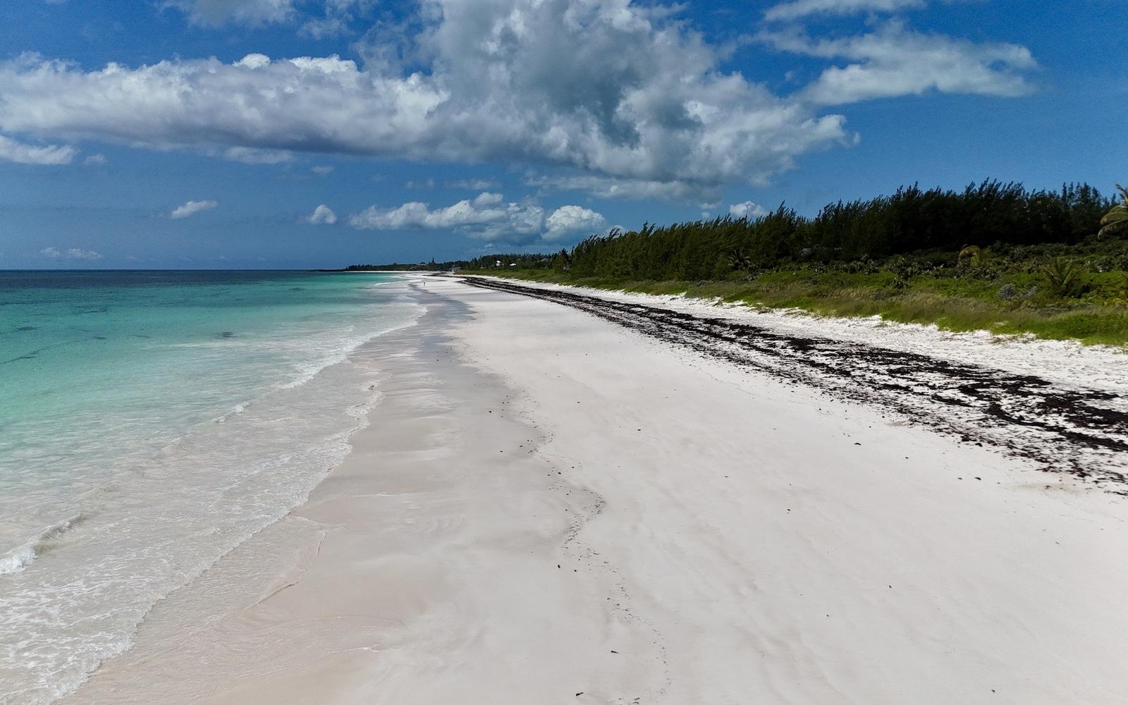 Prime Beachfront Estate Land Lots 36 and 35A — photo 4
