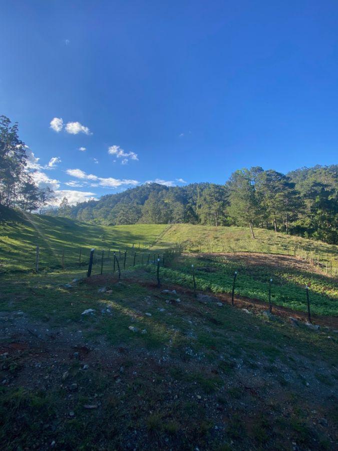 Independent Lots for Sale in Jarabacoa — photo 3