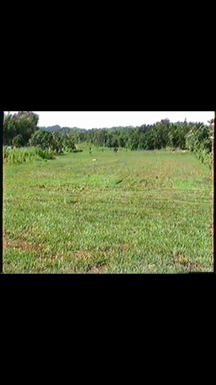 10 acres land in Bo. Higuillar, Dorado — photo 2
