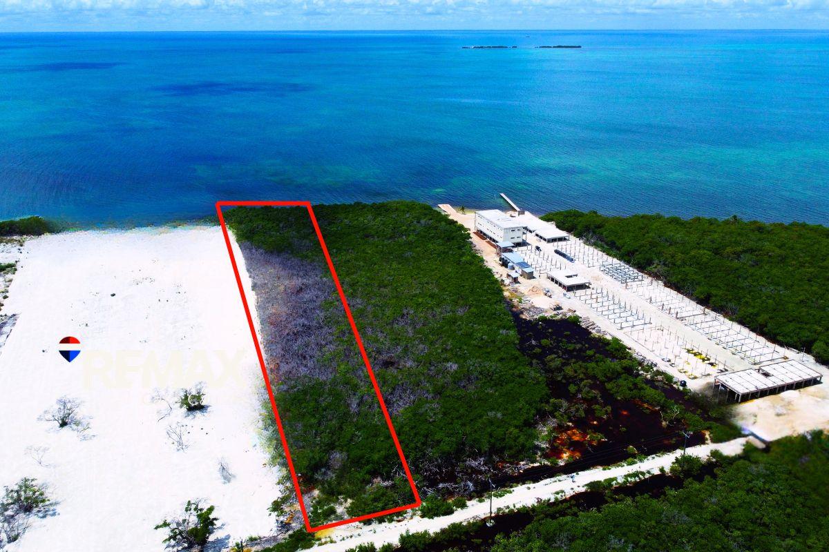1.85-Acre Oceanfront Property for Sale on North Caye Caulker — photo 2