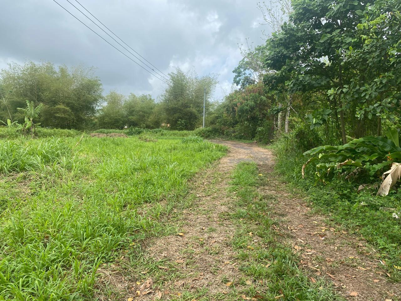 Residential Land in Sangre Grande — photo 3