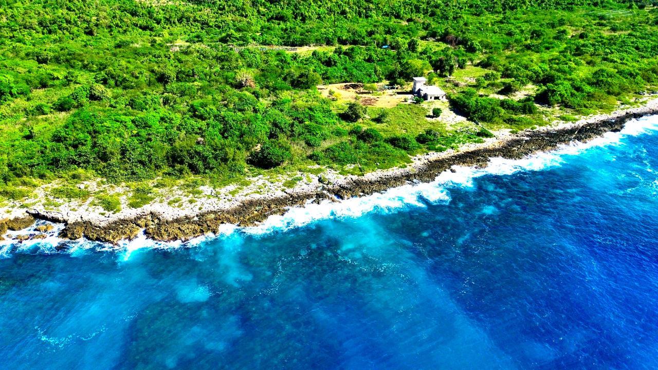 Orange Hill Westmoreland Negril — photo 5