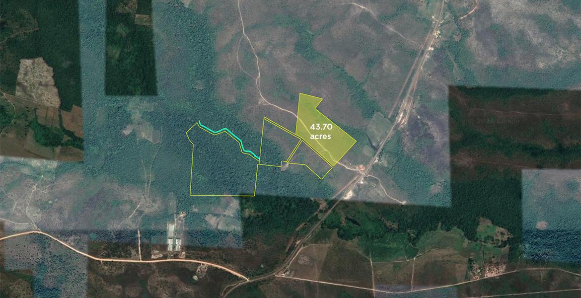 43 Acres of Lush Jungle near Red Bank — photo 2