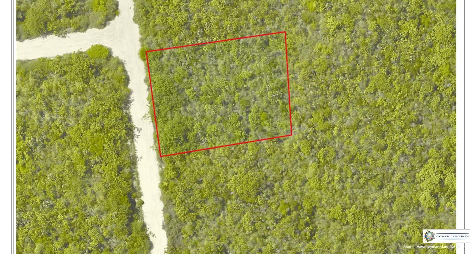 Freehold - Large Home Lot in Point of Sand Area — photo 2