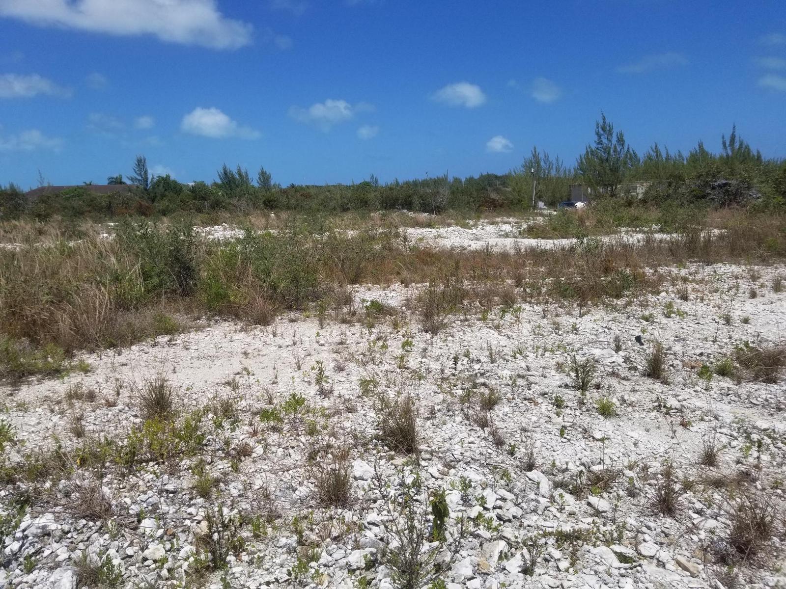 SWEETINGS VILLAGE — photo 5