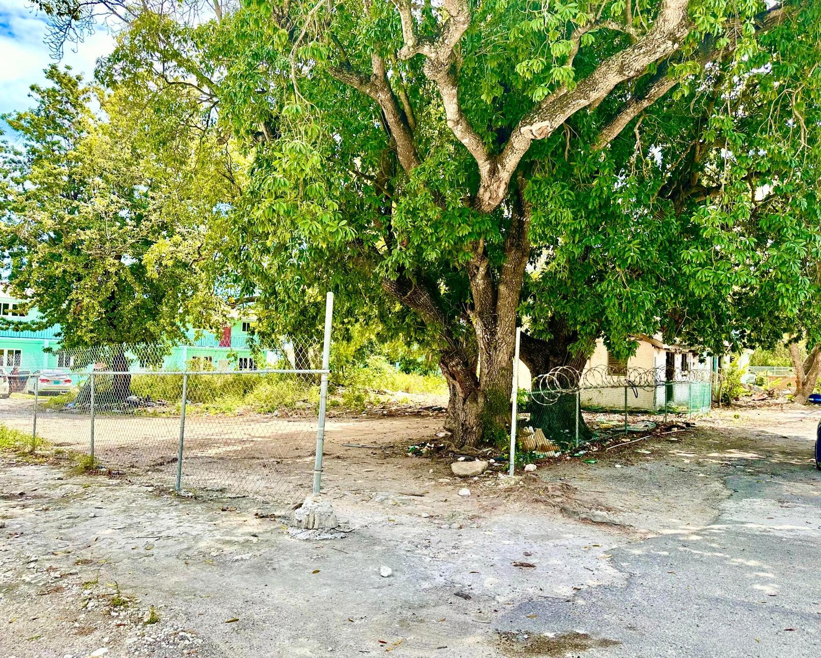 4 bedroom Residence for sale - 15 OAKES FIELD, Nassau / New Providence, The Bahamas — photo 4