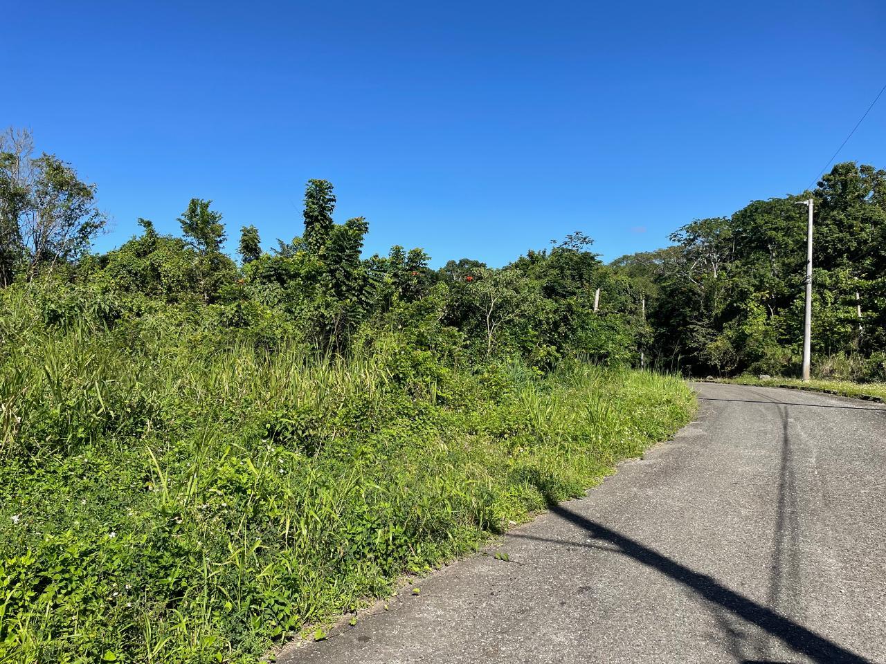 OCEAN RIDGE St. Mary Tower Isle Lot/Land — photo 3