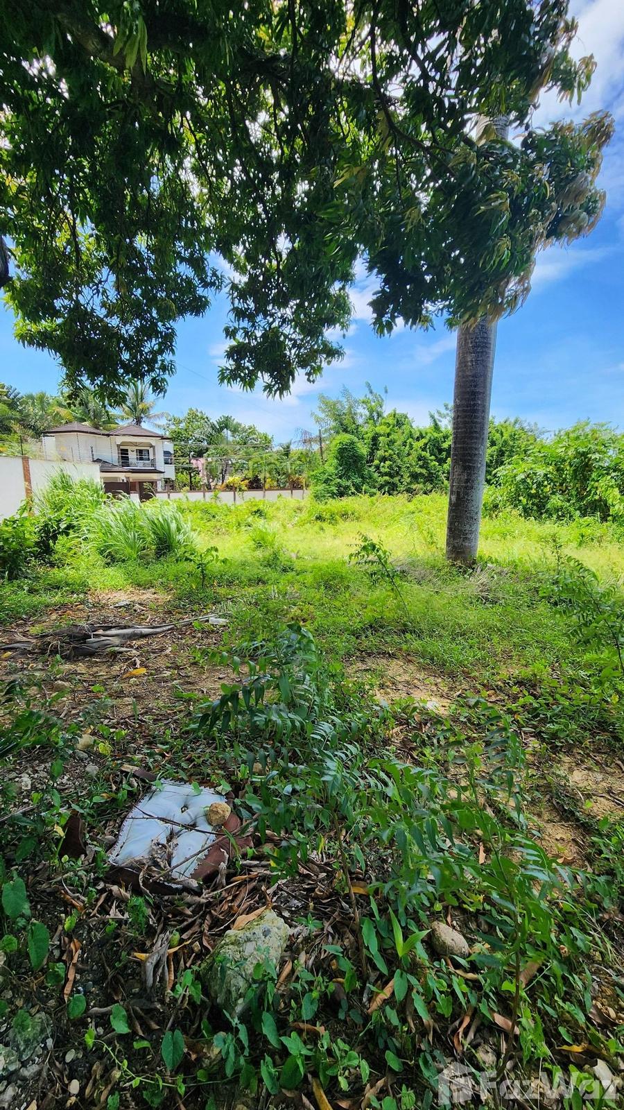 INVESTMENT OPPORTUNITY IN PUERTO PLATA — photo 3