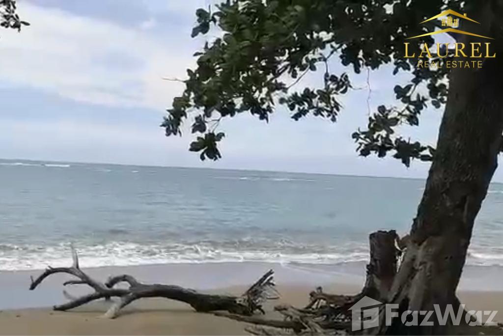 Land for sale on the beach at 55 meters in Gaspar Hernández RD — photo 4