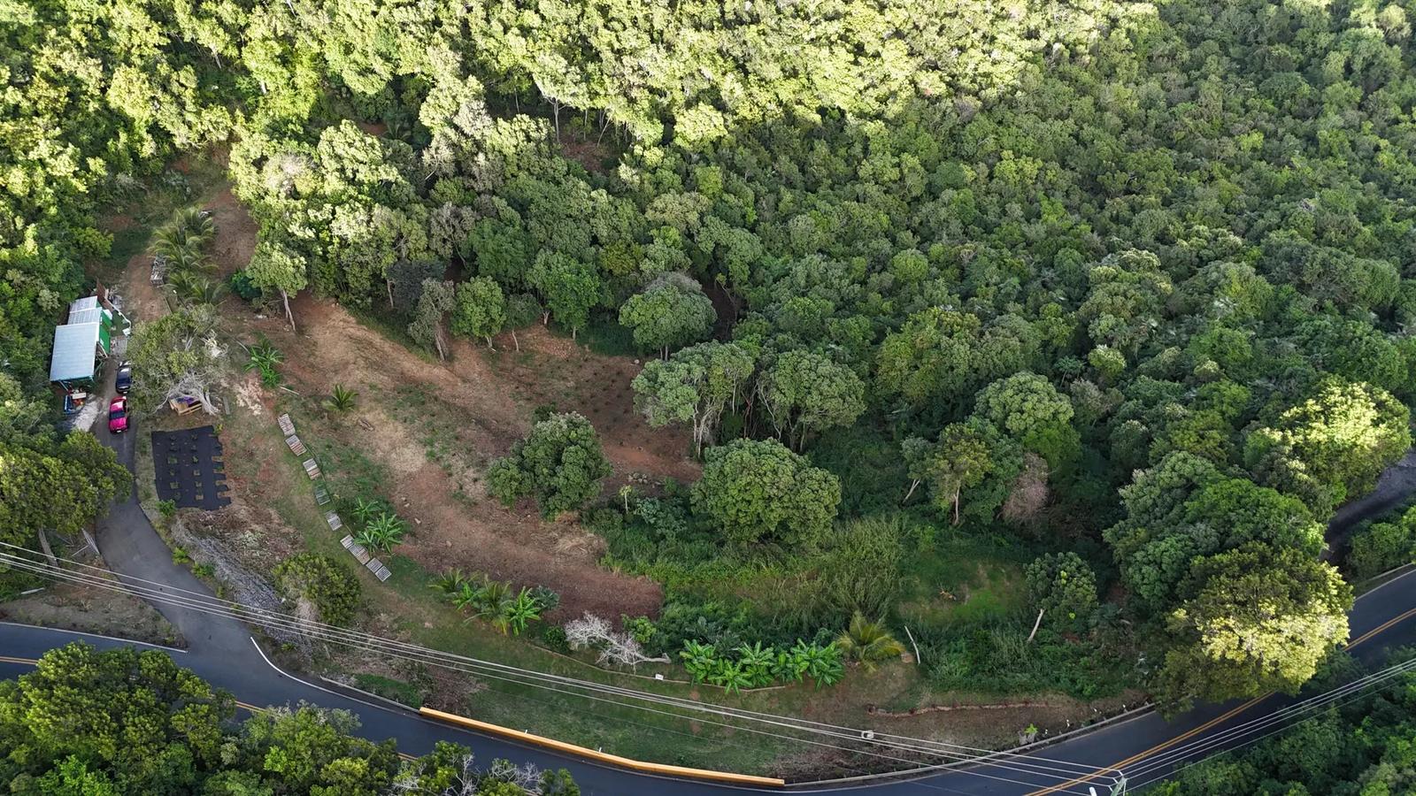 2.53 Acre Lot in Misgunst, US Virgin Islands — photo 2