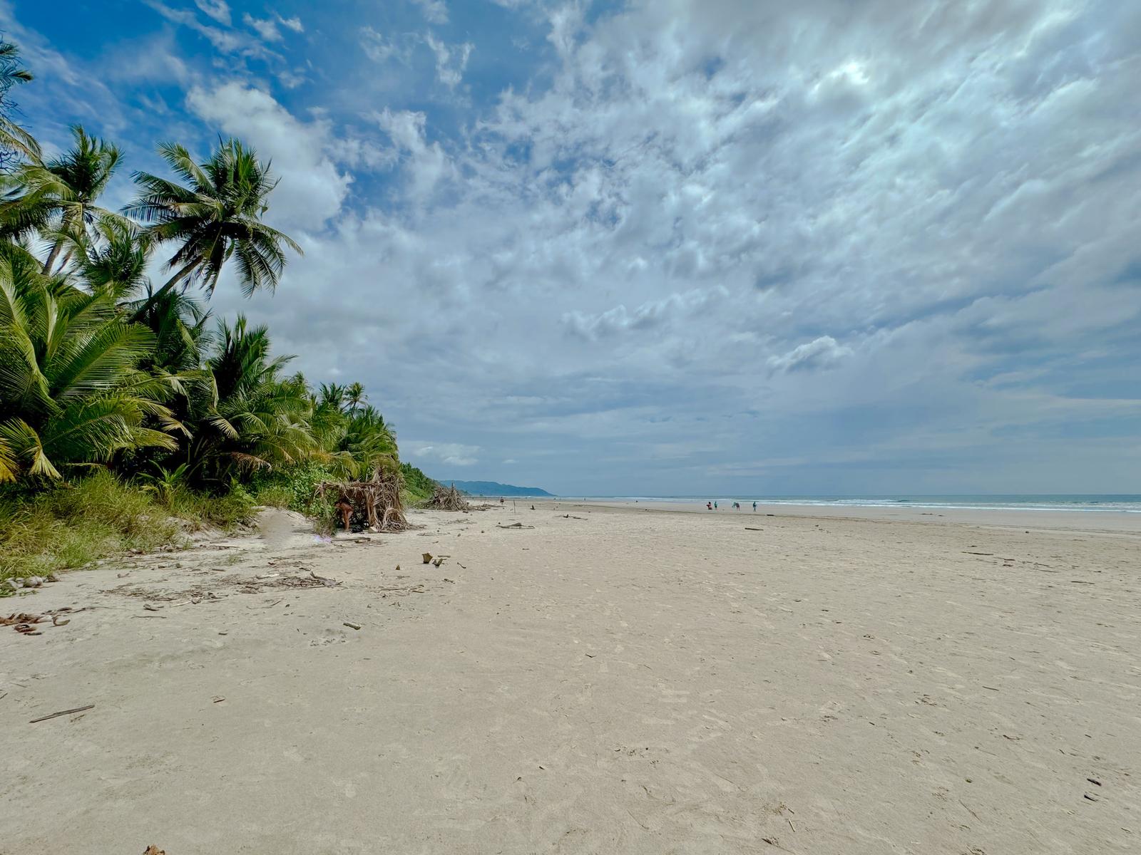 3.16 Acres of Beachfront Land for Sale — photo 4