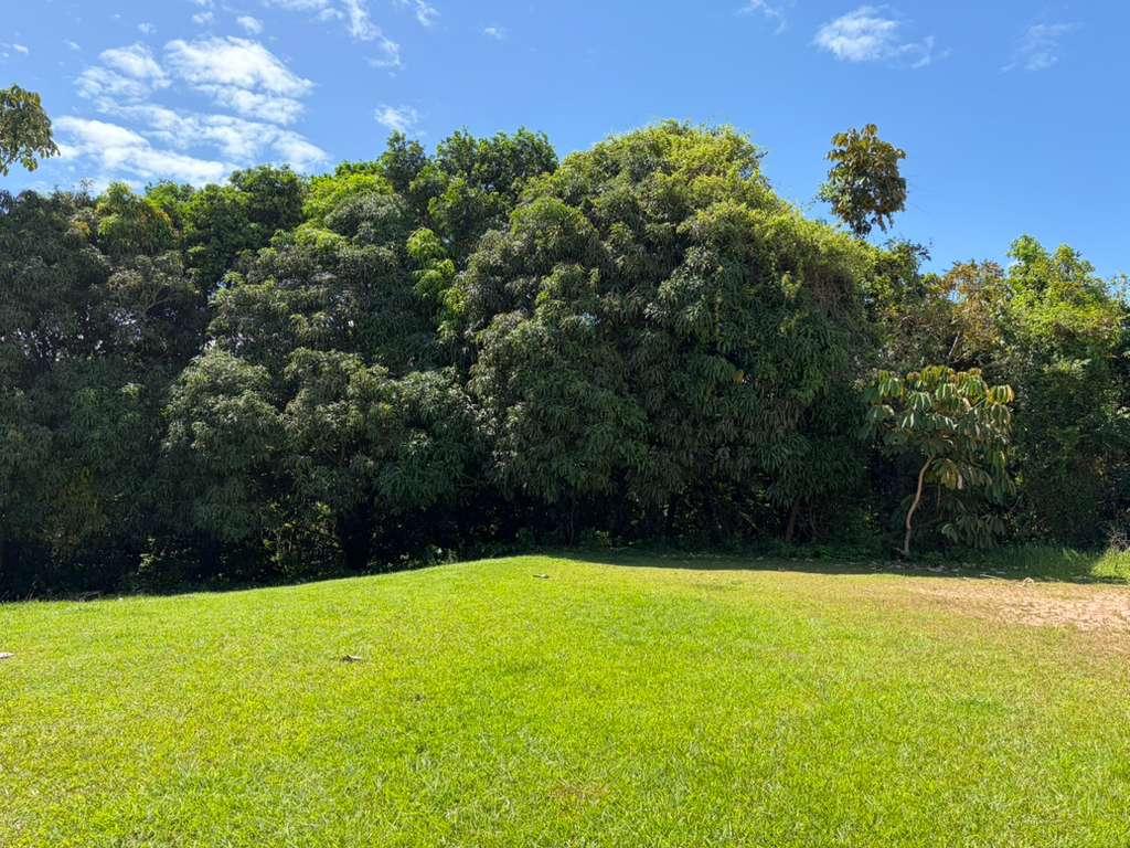 Lot in Bo. Calabaza, San Sebastián, P.R — photo 4