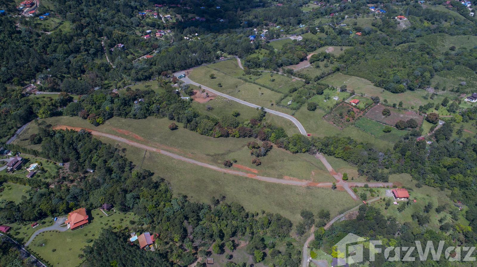 Land for sale in Jarabacoa, La Vega — photo 3