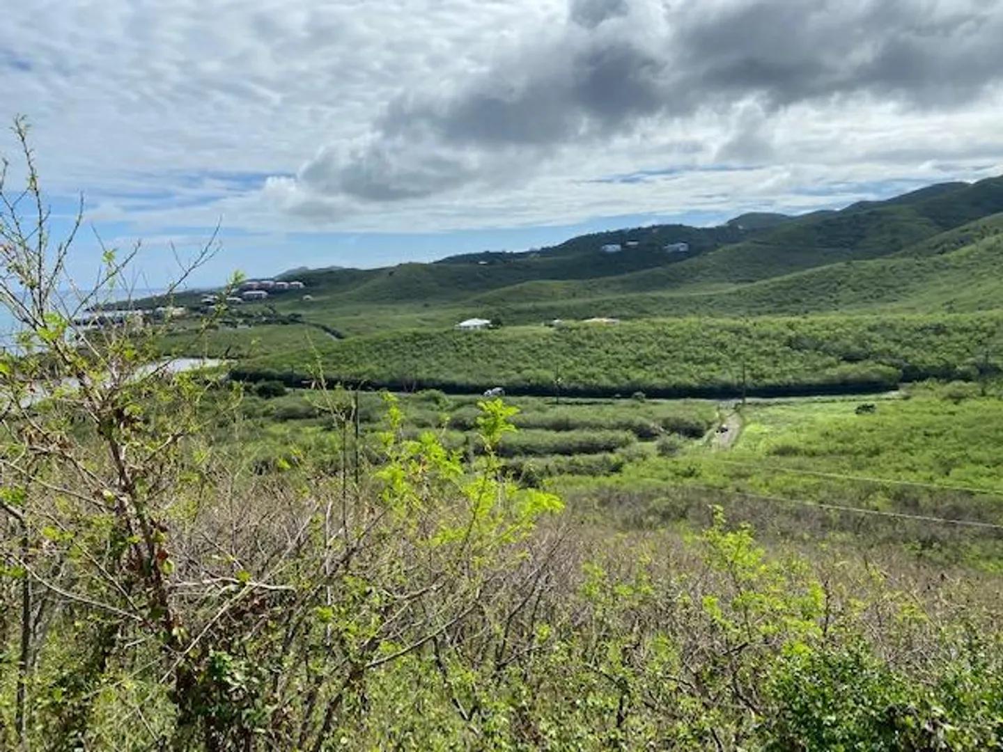 0.69 Acre Homesite in Green Cay, East End — photo 3