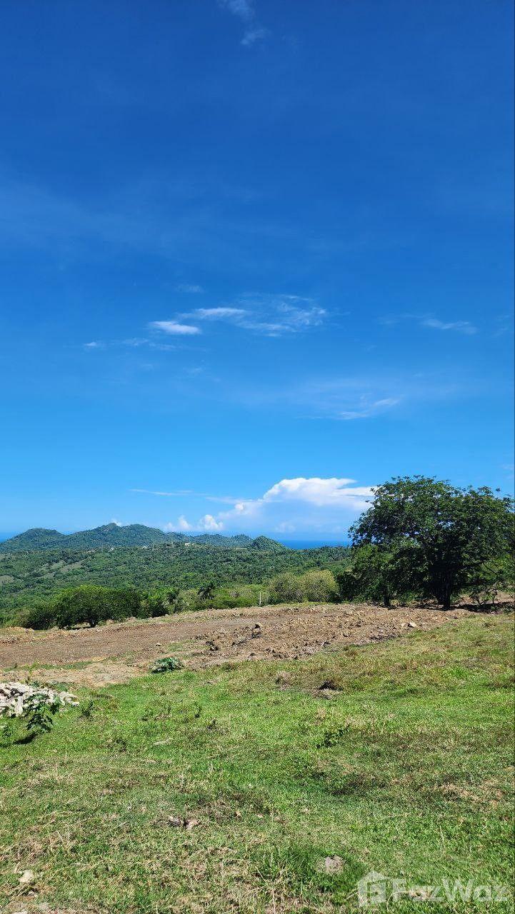 Ecological Paradise Land Plot in San Felipe De Puerto Plata — photo 5