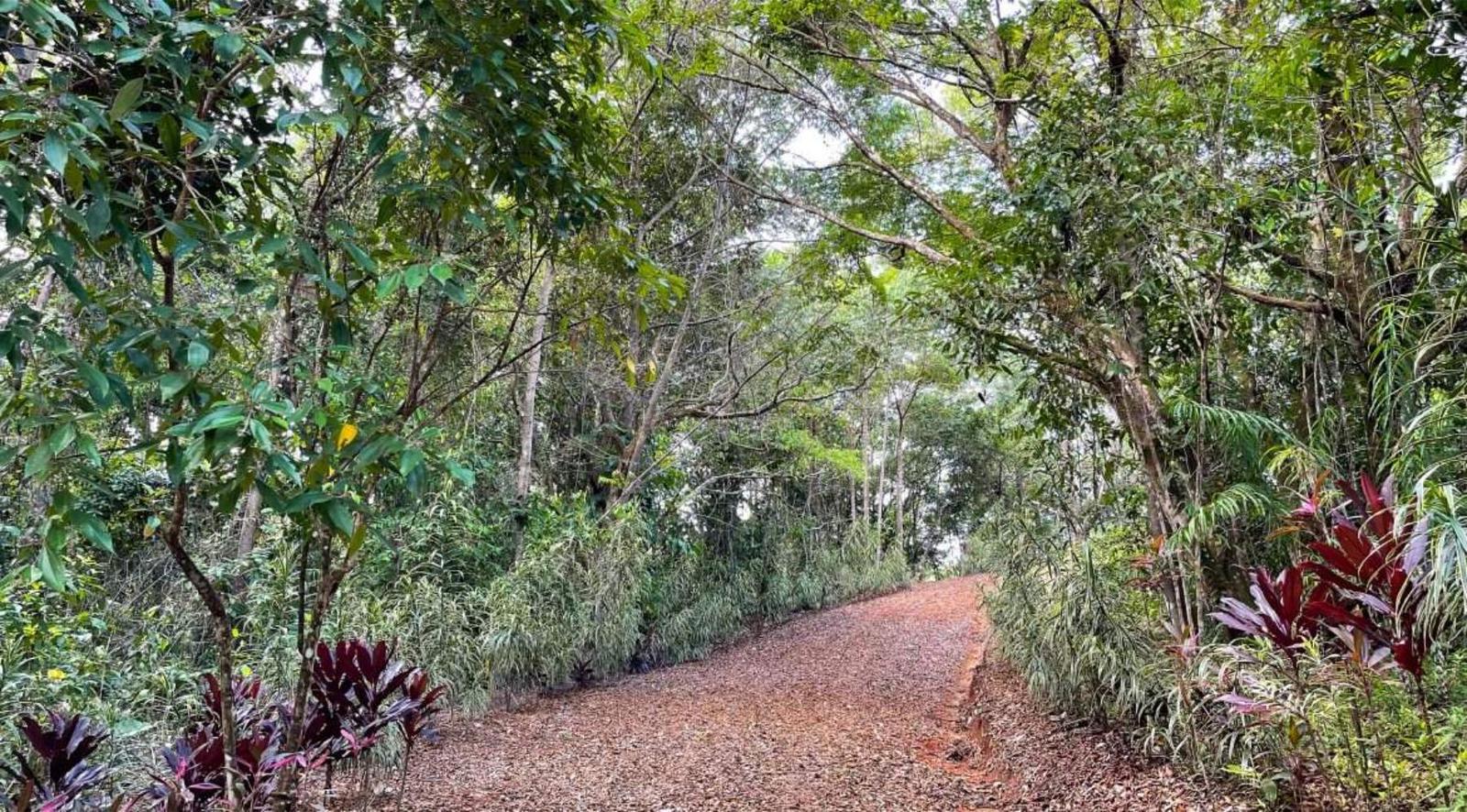 181 Acres of Ocean-View Land for Sale, Ojochal, Puntarenas, Costa Rica — photo 5