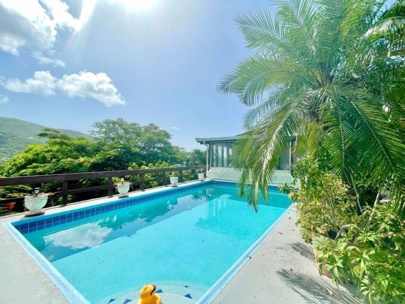 Hummingbird House - 5 Bedroom Villa with Harbour View — photo 3