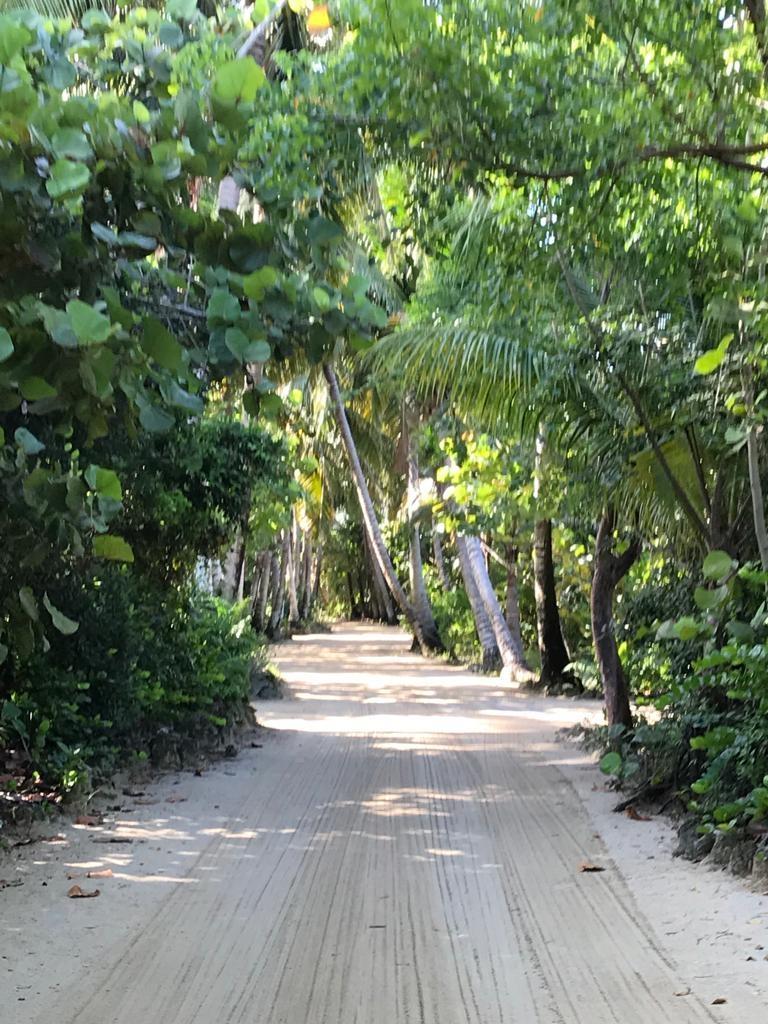 STANIARD CREEK, ANDROS — photo 5