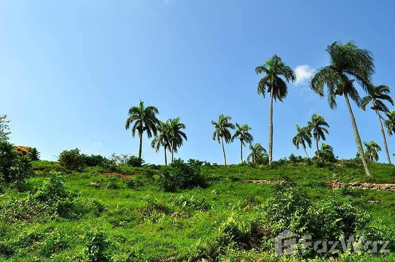 Hillside Land with Sea and National Park View in Trinidad Sanchez — photo 1
