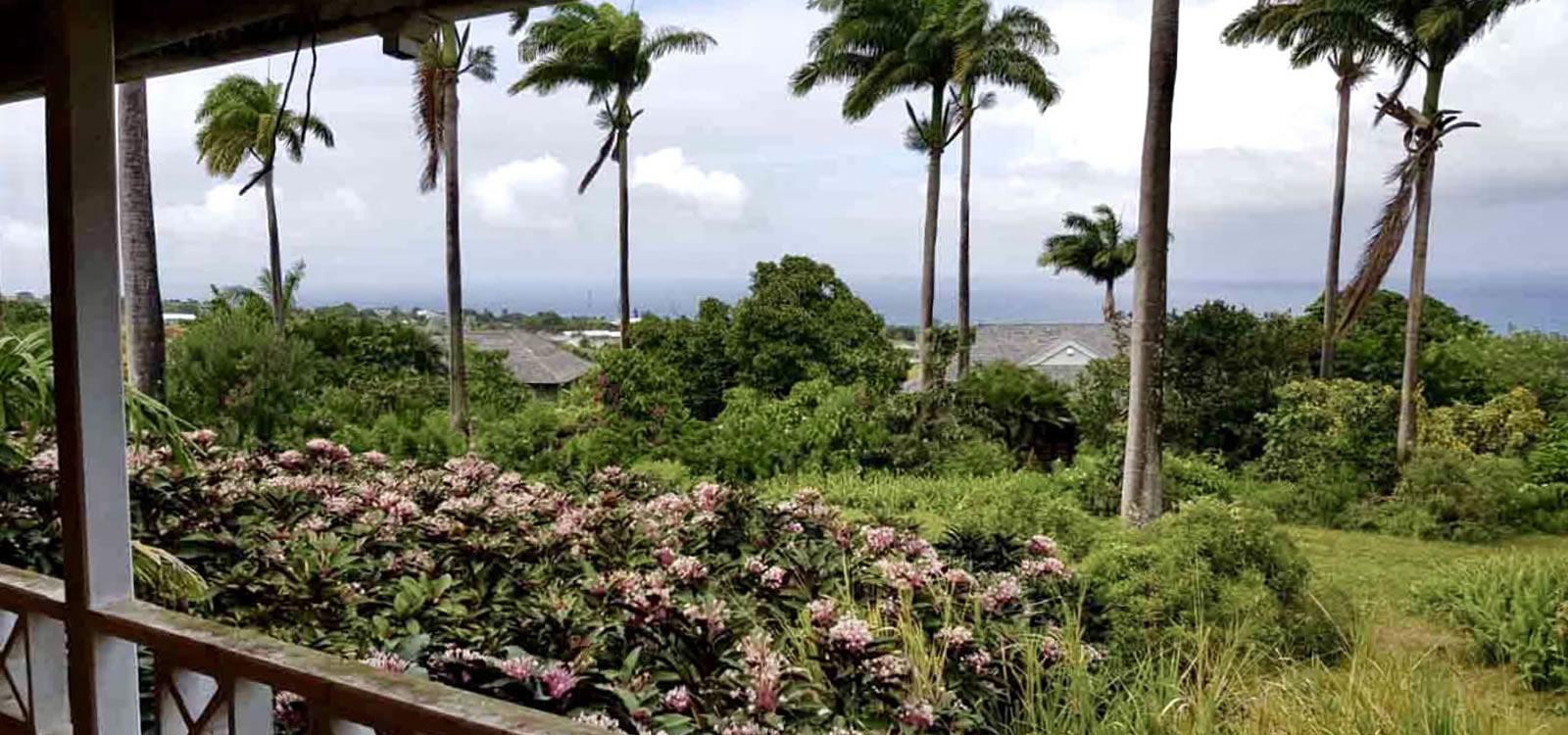 Historic Hotel for Sale, Ottley's, St Kitts — photo 5