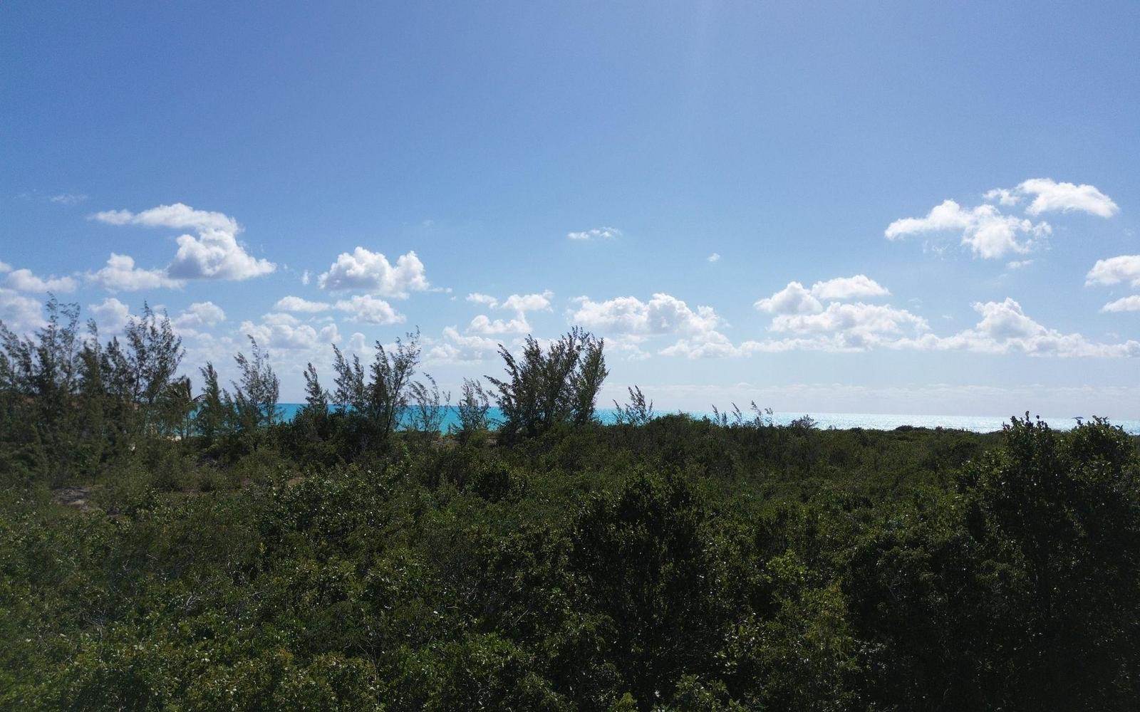 3 ACRES, TURNBULL HILLTOP — photo 3