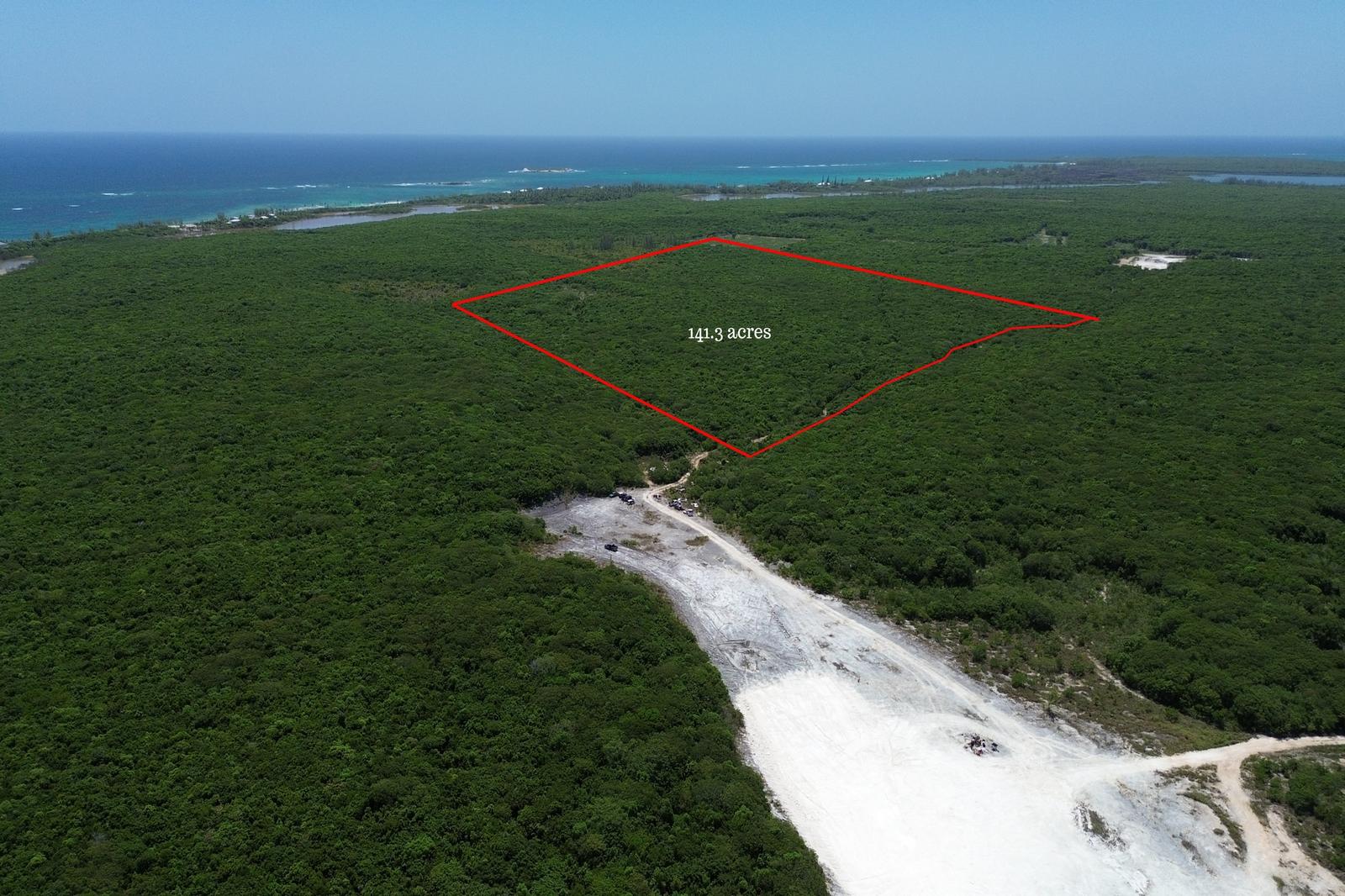 141.3 ACRES BURNS POND — photo 2