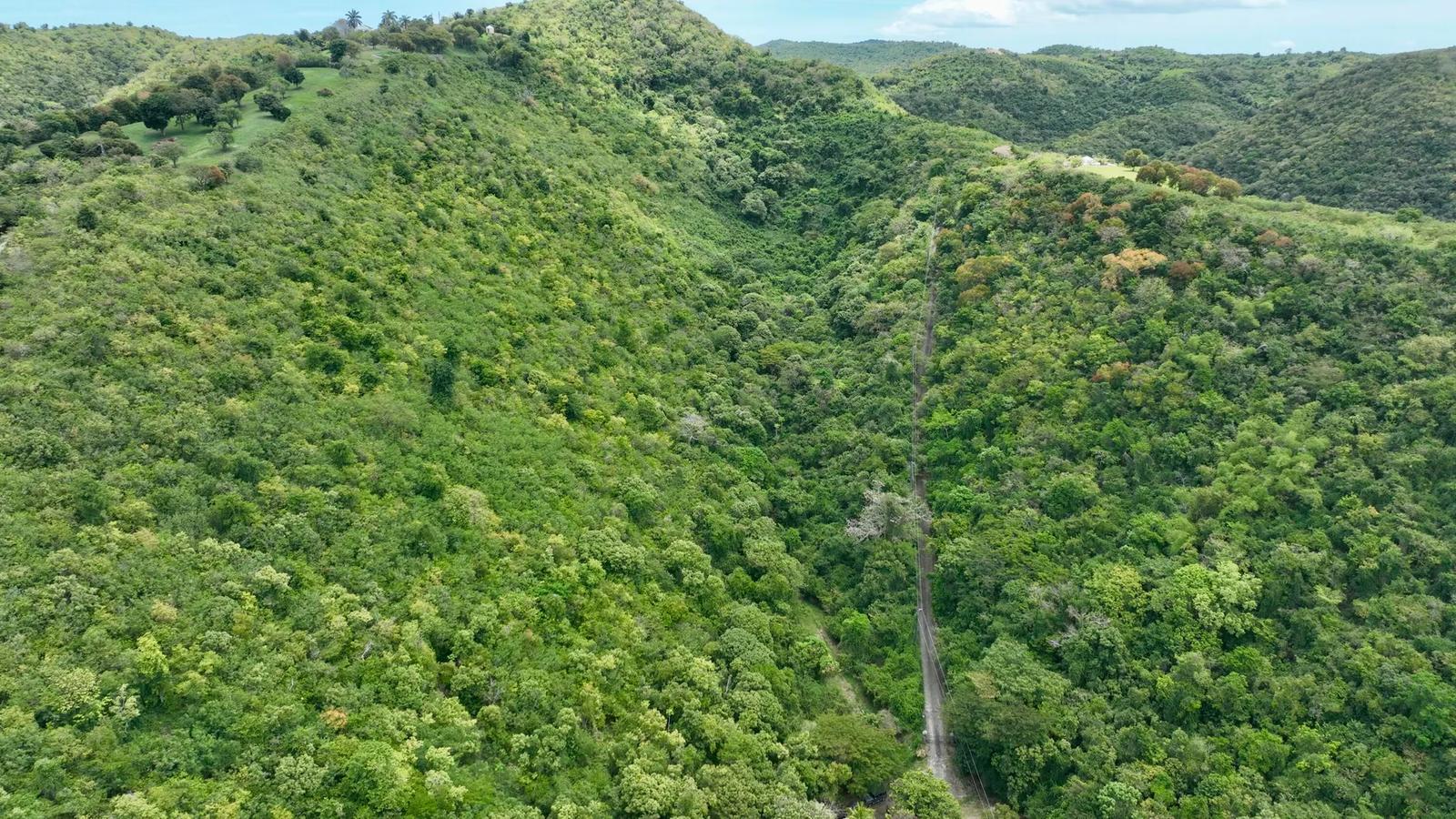 28.02 Acre Lot Mt. Washington Na, St. Croix — photo 4
