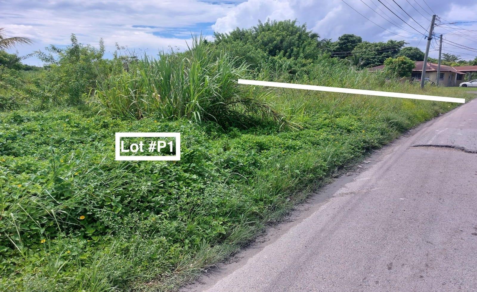 PALM BREEZE DR — photo 1