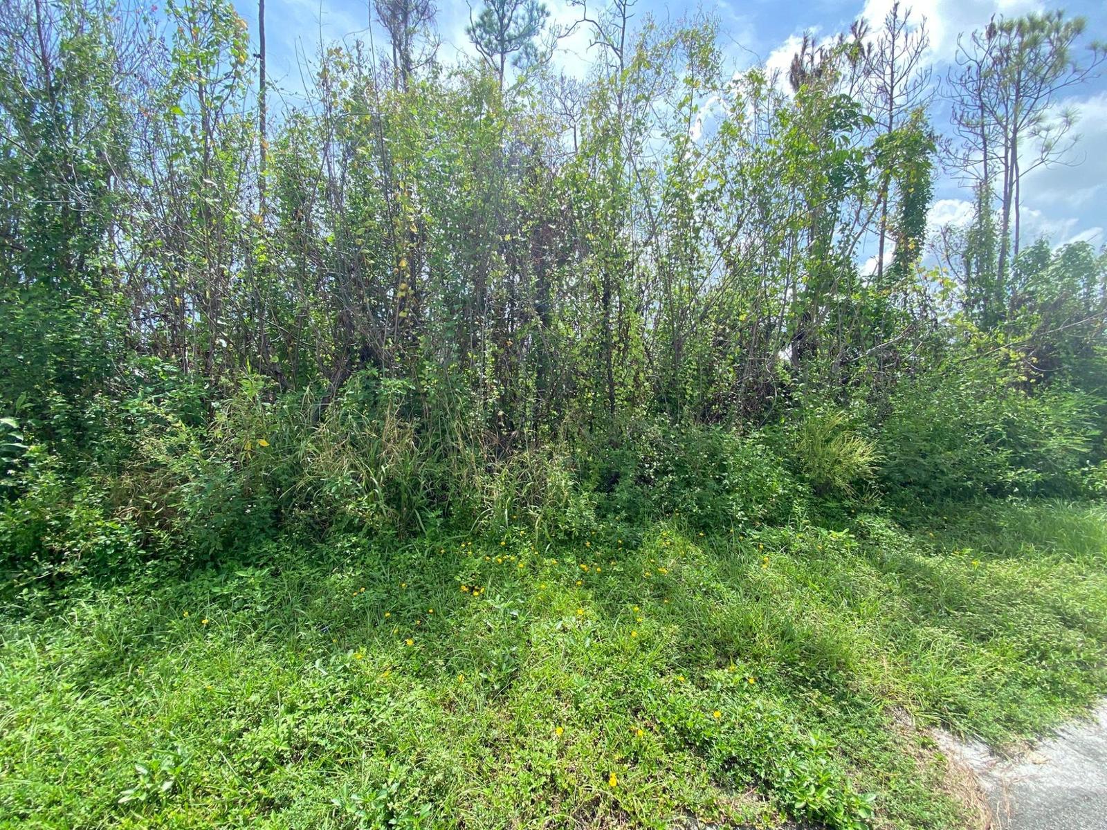 8 HELM LANE, FREEPORT, GRAN — photo 2